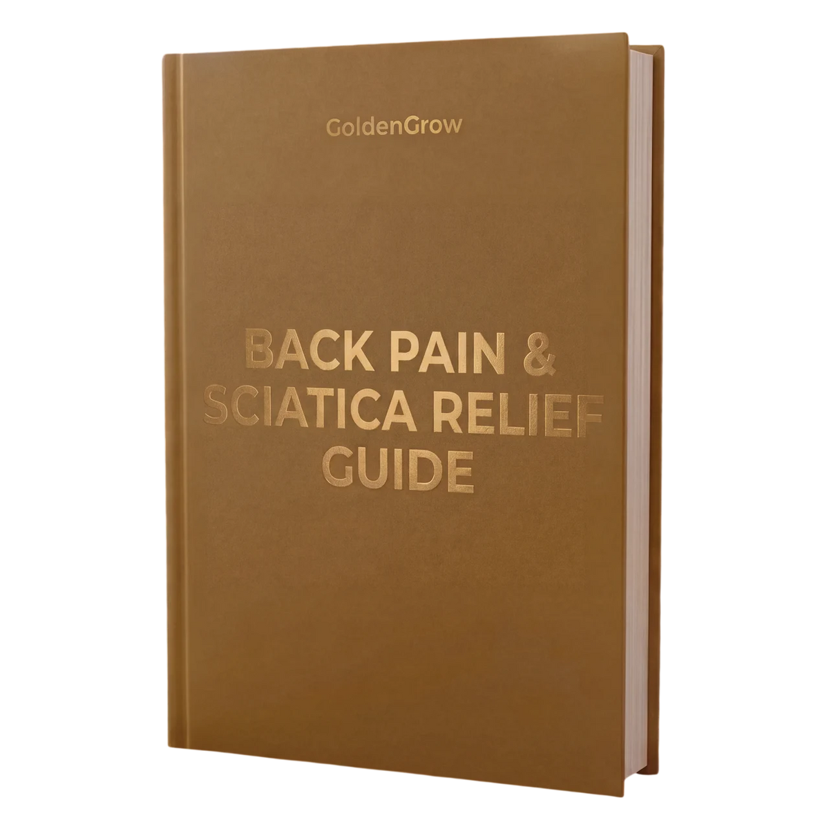 Back Pain & Sciatica Relief Guide