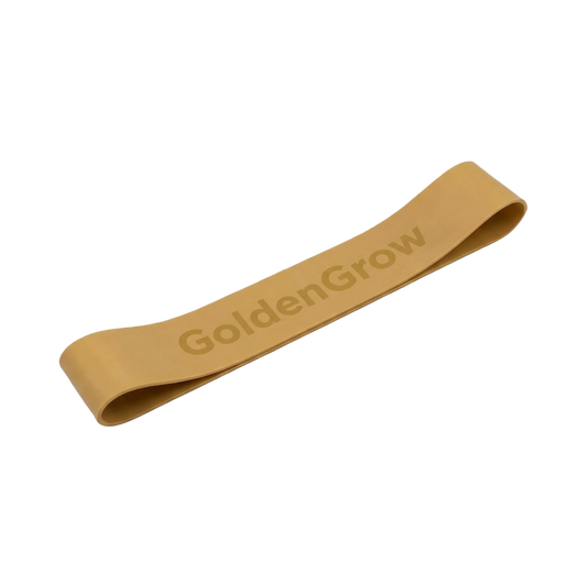 Muscle Loss Prevention Band